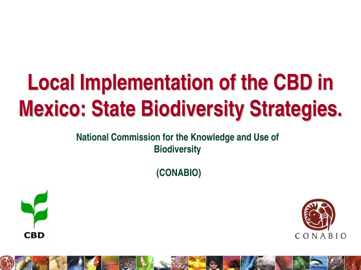 local implementation of the cbd in local implementation