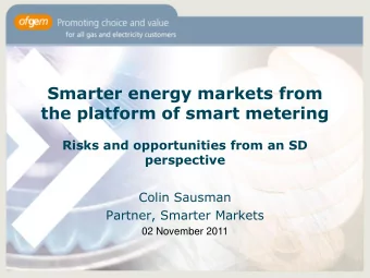 the platform of smart metering  Risks and opportunities from an SD  perspective  Colin Sausman