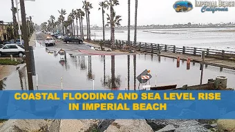 IN IMPERIAL  IN IMPERIAL BEA  BEACH  CH  Wildseabook.com  JANU  ANUAR  ARY  Y 1983 El Nio  1983