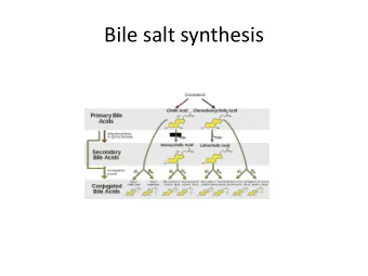 Bile salt synthesis  Hepatic Transporter Proteins involved in  Bile Formation  Basolateral membrane