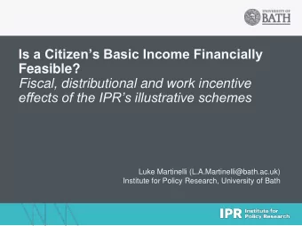 Feasible?  Fiscal, distributional and work incentive  effects of the IPRs illustrative schemes