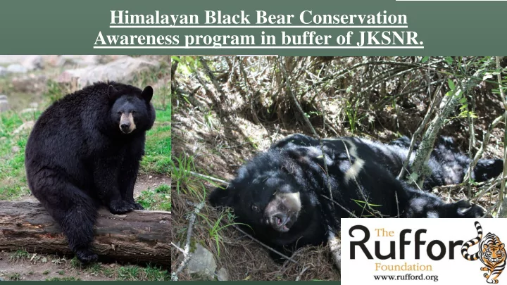 himalayan black bear conservation awareness program in