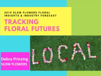 Debra Prinzing  SLOW FLOWERS  COLLECTIONS  Datisca cannabina  ECOMMERCE: Direct to Consumer  What