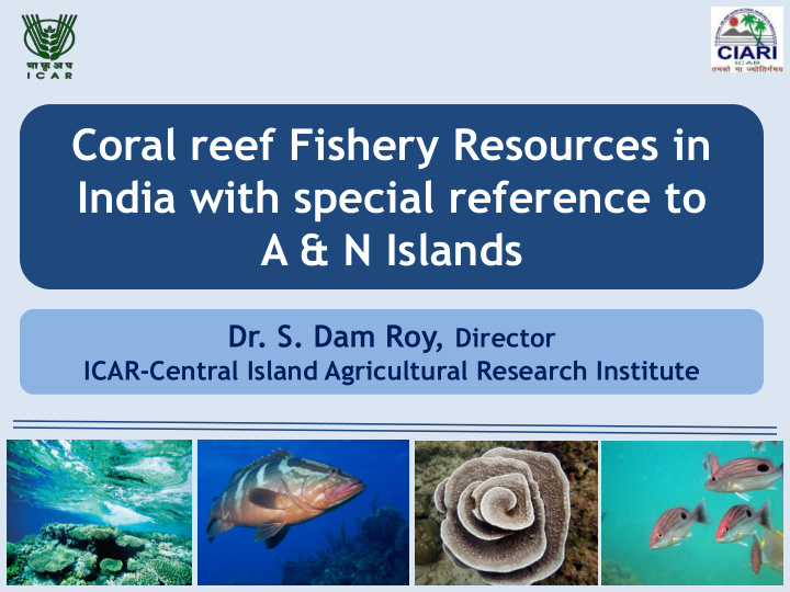 coral reef fishery resources in