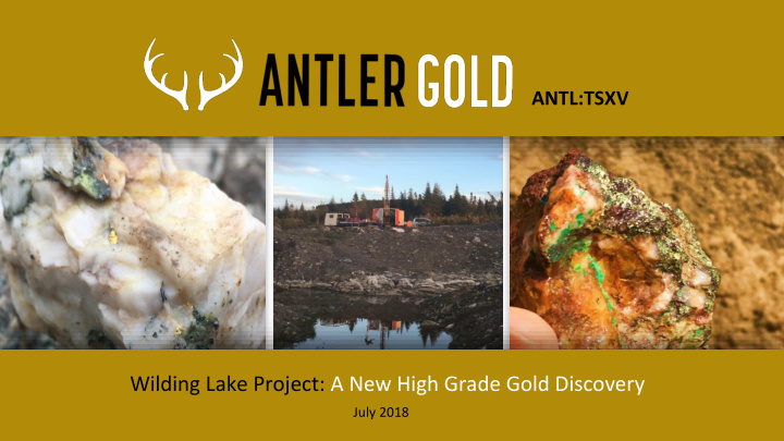 wilding lake project a new high grade gold discovery