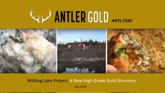 Wilding Lake Project: A New High Grade Gold Discovery  1  July 2018  DISCLAIMER This document