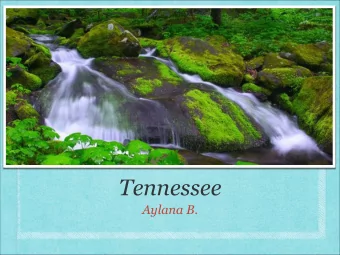 Tennessee  Aylana B.  Introduction  Do you know what my state is? It is Tennessee. Did you  know