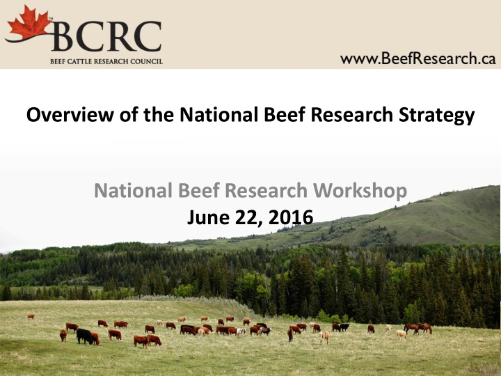 national beef research workshop