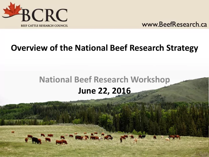 national beef research workshop