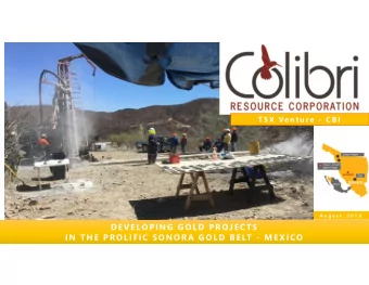 DEVELOPING GOLD PROJECTS  DEVELOPING GOLD PROJECTS  IN THE PROLIFIC SONORA GOLD BELT - ME XICO  IN