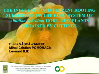 THE INFLUENCE OF DIFFERENT ROOTING  SUBSTRATES ON THE ROOT SYSTEM OF Abutilon hybridum HORT. NEW