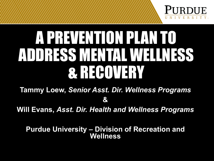 a prevention plan to address mental wellness amp recovery