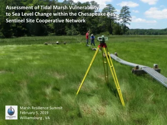Assessment of Tidal Marsh Vulnerability  to Sea Level Change within the Chesapeake Bay  Sentinel
