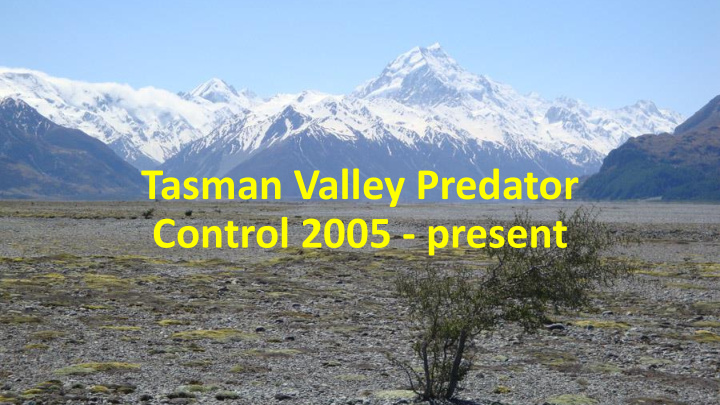 tasman valley predator