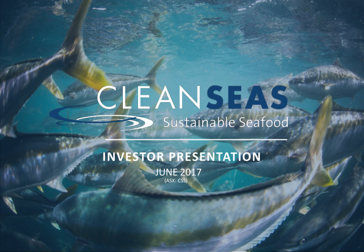 clean seas seafood