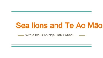 Sea lions and Te Ao Mo  with a focus on Ngi Tahu whnui  Past  Distribution  Map derived from: