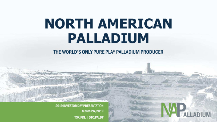 north american palladium