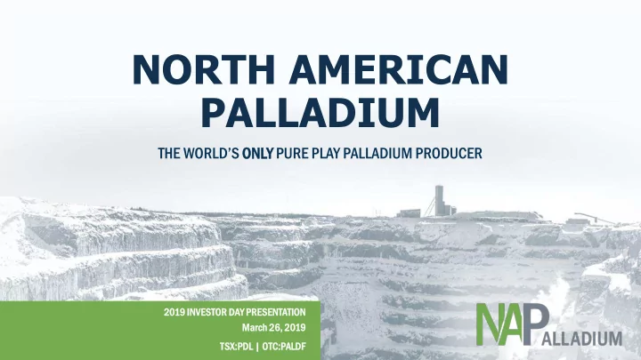 north american palladium