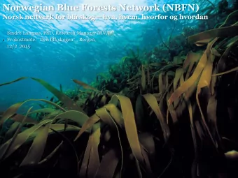 . Frokostmte: &quot;Den bl skogen  , Bergen,  12/2  2015  What (definitions of blue forests