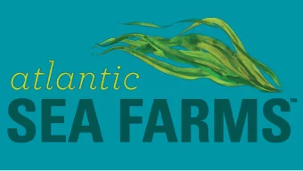 Rapidly changing water temperatures  Rapidly changing lobster population density  Kelp farm in