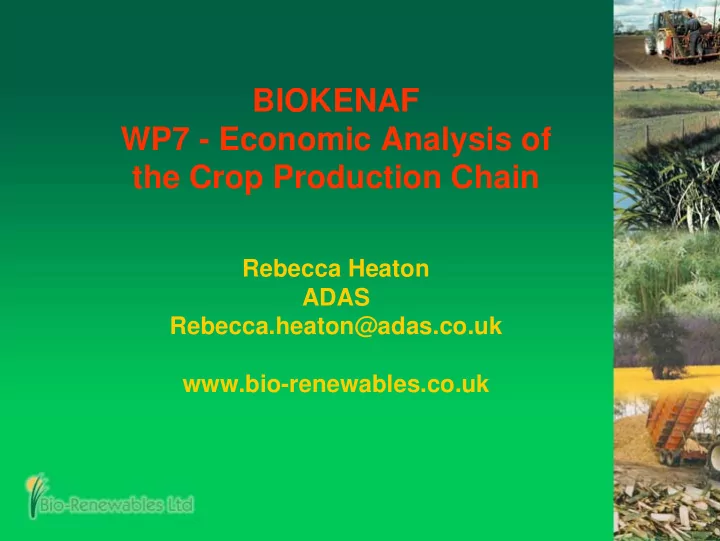 biokenaf wp7 economic analysis of the crop production