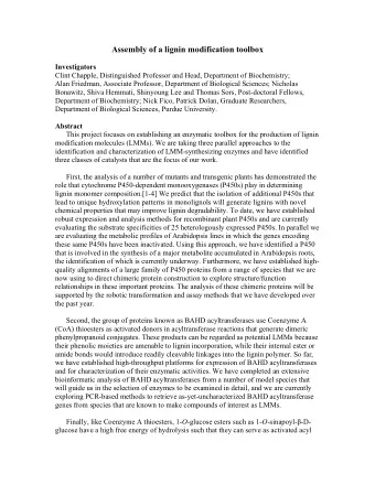 Assembly of a lignin modification toolbox  Investigators  Clint Chapple, Distinguished Professor