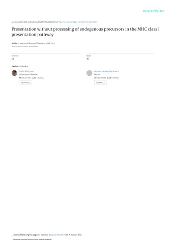 Presentation without processing of endogenous precursors in the MHC class I  presentation pathway