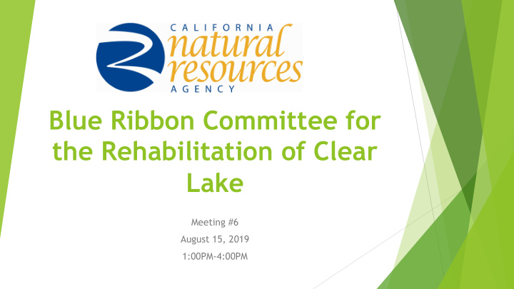 blue ribbon committee for the rehabilitation of clear lake