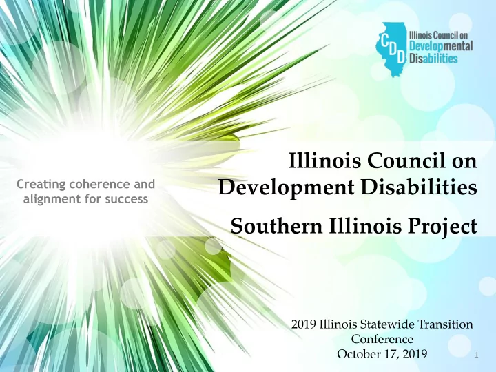 illinois council on