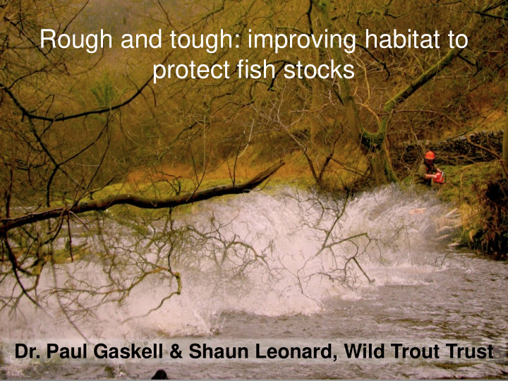 rough and tough improving habitat to protect fish stocks