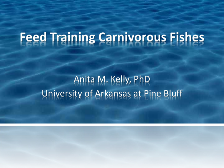 feed training carnivorous fishes