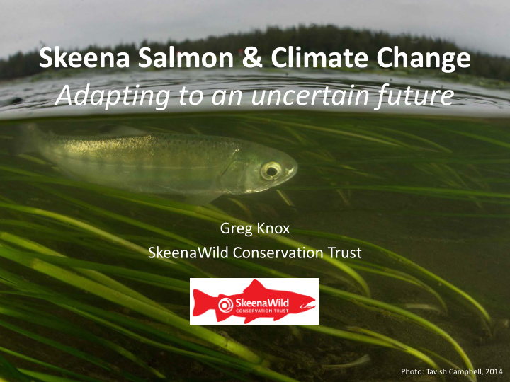 skeena salmon climate change adapting to an uncertain