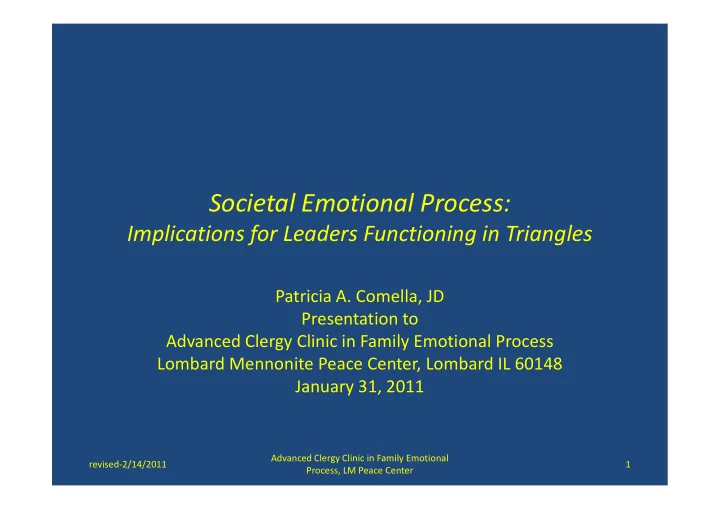 societal emotional process