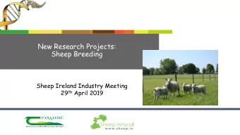 Sheep Breeding  Sheep Ireland Industry Meeting 29 th April 2019  New Research Projects:  Sheep