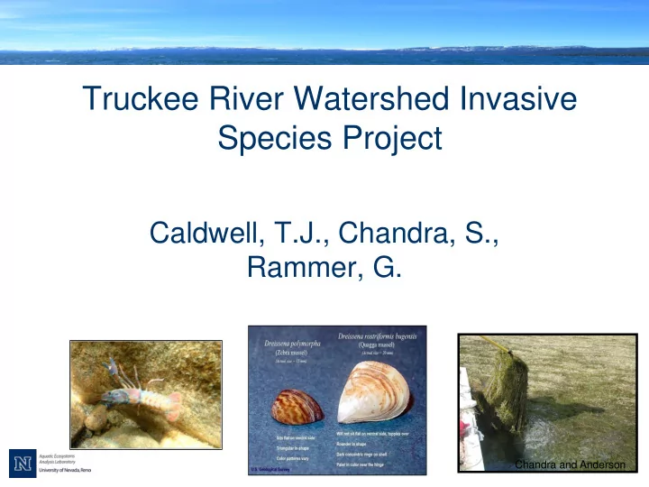 species project