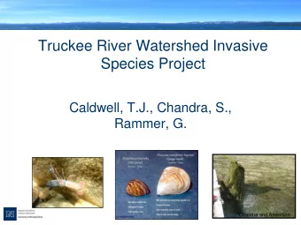 Species Project  Caldwell, T.J., Chandra, S.,  Rammer, G.  Chandra and Anderson  Outline