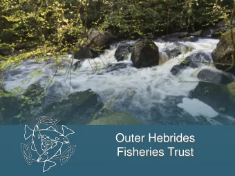 Fisheries Trust  9/16/2014  1  Organisational Structure  Chairman  Board of Trustees  Management