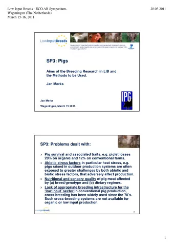 SP3: Pigs  Aims of the Breeding Research in LIB and  the Methods to be Used.  Jan Merks  Jan Merks