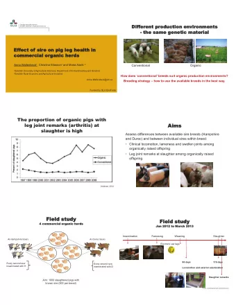 Field study  Field study  4 commercial organic herds  Jan 2012 to March 2013  Insemination