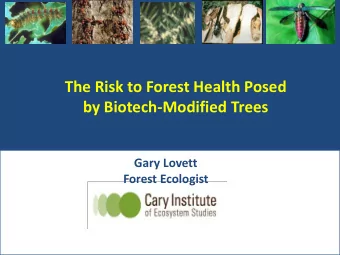 The Risk to Forest Health Posed  by Biotech-Modified Trees  Gary Lovett  Forest Ecologist