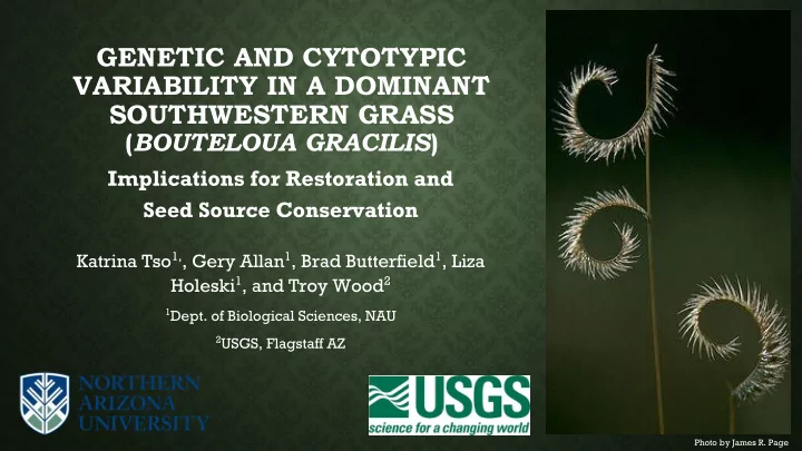 genetic and cytotypic variability in a dominant