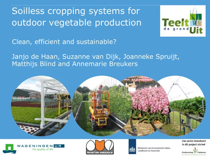 soilless cropping systems for