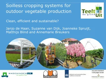 Soilless cropping systems for  outdoor vegetable production  Clean, efficient and sustainable?