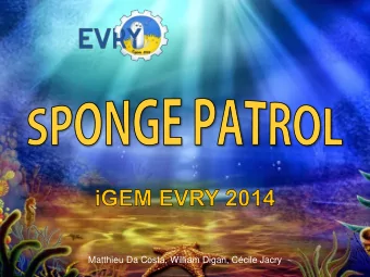 Matthieu Da Costa, William Digan, Ccile Jacry  Introduction This sphere represents all the water