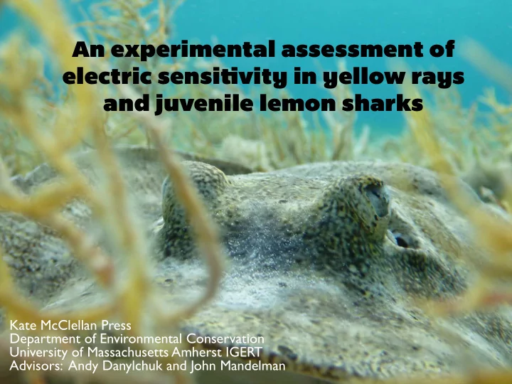 an experimental assessment of electric sensi tj vity in