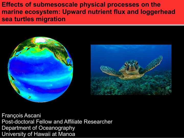 effects of submesoscale physical processes on the marine