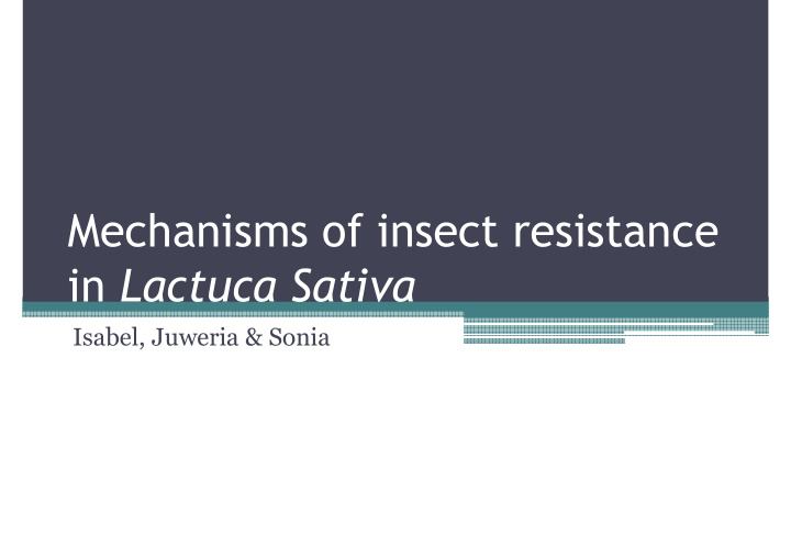 mechanisms of insect resistance in lactuca sativa