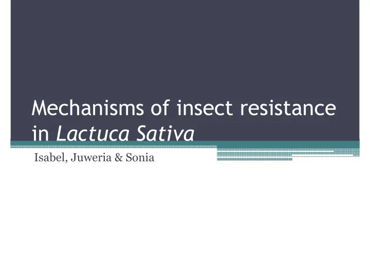mechanisms of insect resistance in lactuca sativa