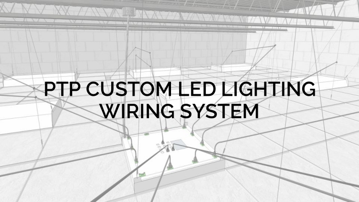 ptp custom led lighting wiring system features