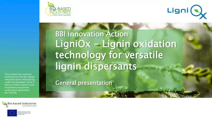 lignin in disper ersa sants ts